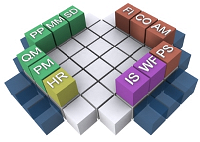 ERP Modules customization